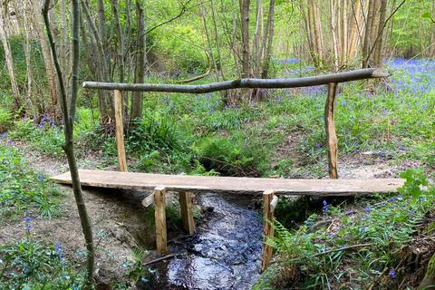 Woodland for sale, (Three and a half acres), Lamberhurst, near Tunbridge Wells, Kent TN3