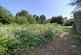 Lutterworth Road, Blaby, Leicester photo 2