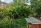 Madeline Road, London photo 4