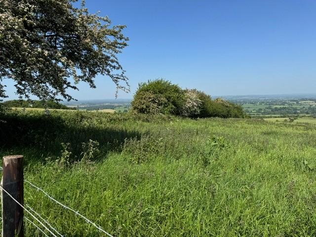 Land at Okeford Hill, Blandford Forum DT11 - View 3
