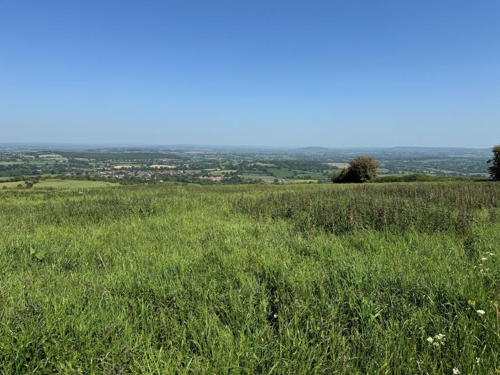 Land at Okeford Hill, Blandford Forum DT11
