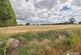 Rectory Road, Little Oakley, Harwich photo 2