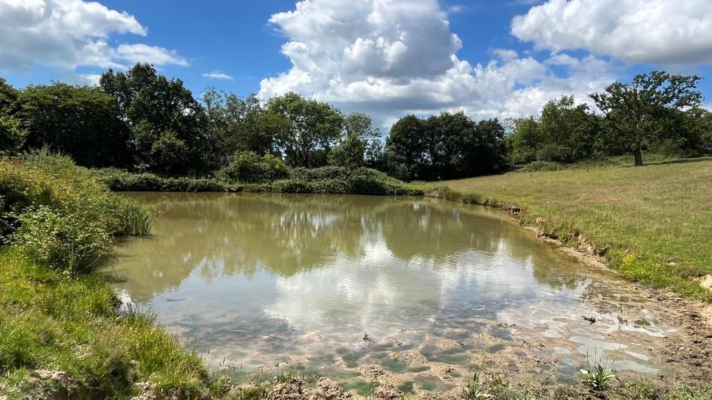 Henley Down, Catsfield, Battle, TN33 - View 2