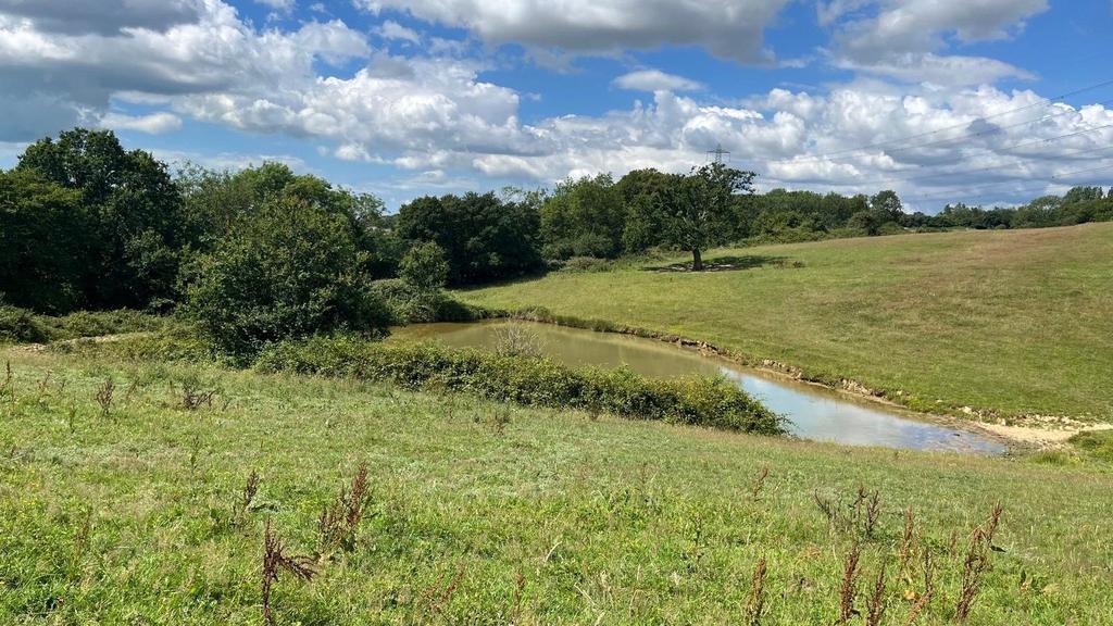 Henley Down, Catsfield, Battle, TN33 - View 3