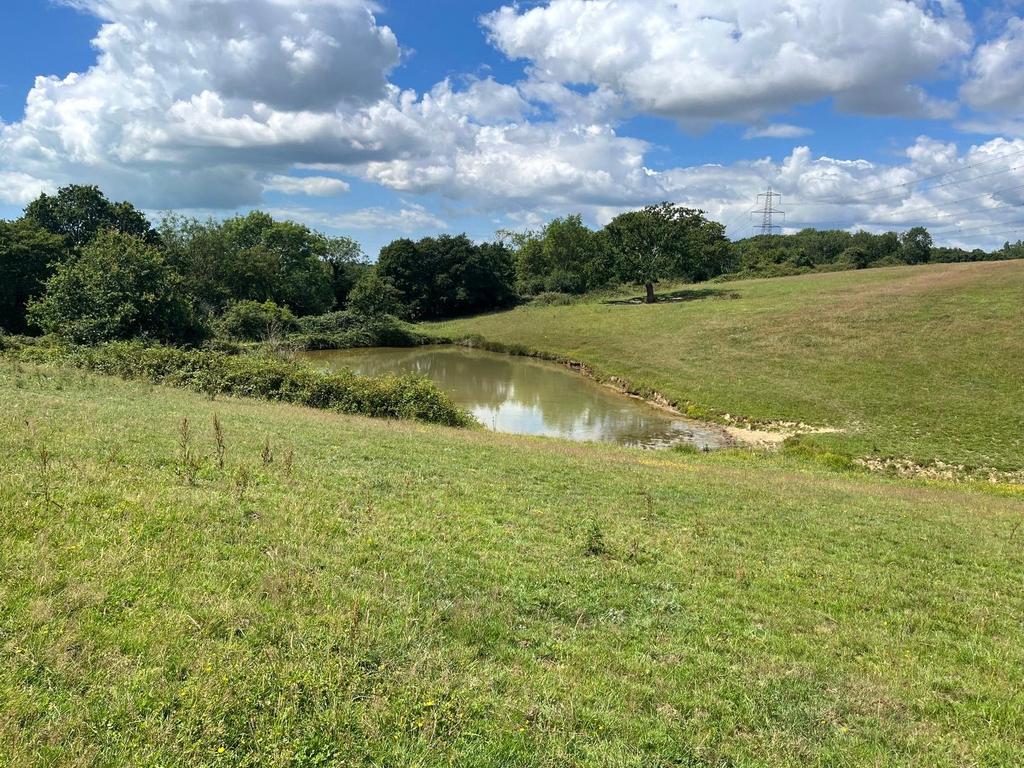 Henley Down, Catsfield, Battle, TN33 - View 4