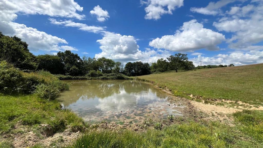 Henley Down, Catsfield, Battle, TN33 - View 5