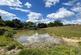 Henley Down, Catsfield, Battle, TN33 photo 5