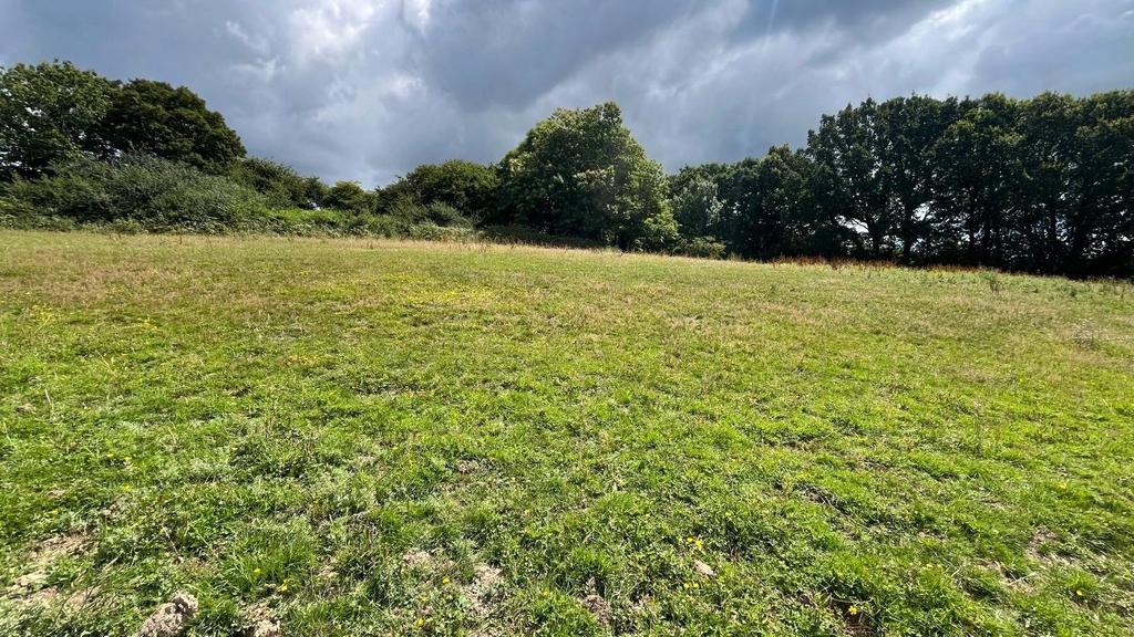 Henley Down, Catsfield, Battle, TN33 - More