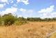 Elson Road, Horley RH6 photo 2