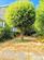 Aldeburgh Road, Leiston, IP16 4ED photo 4