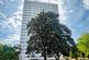 Dollery Drive, Birmingham B5