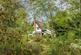 Grade II Listed Property in Wetheringsett with Grounds Extending to 0.6 Acres (stms) photo 4