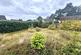 Priory Close, Tavistock photo 4