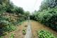 Langthorne Street, SW6 photo 2
