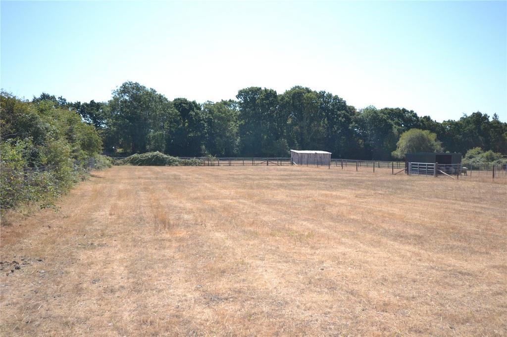 Land and Woodland Off Wainsford Road, Pennington, Lymington, Hampshire, SO41 - View 5