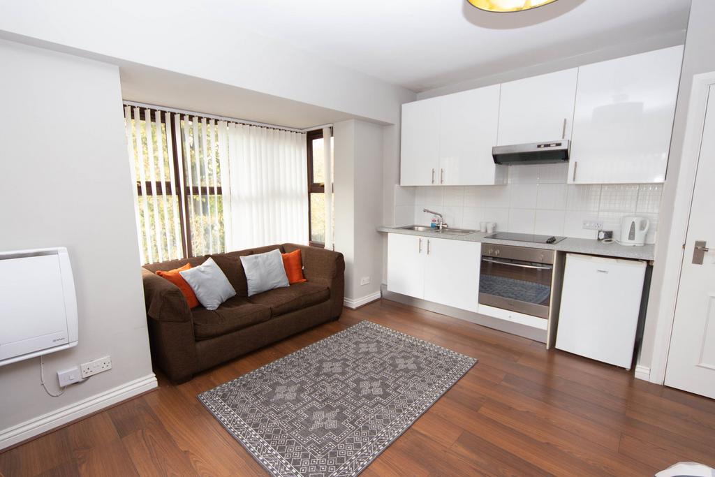 Apartment in Cardiff, Tredegarville, Roath - More
