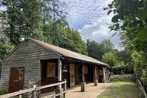 Equestrian property for sale, Lodkin Hill, Hascombe GU8
