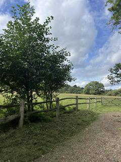 Equestrian property for sale, Lodkin Hill, Hascombe GU8