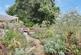 Rose Way, Sandbach photo 5