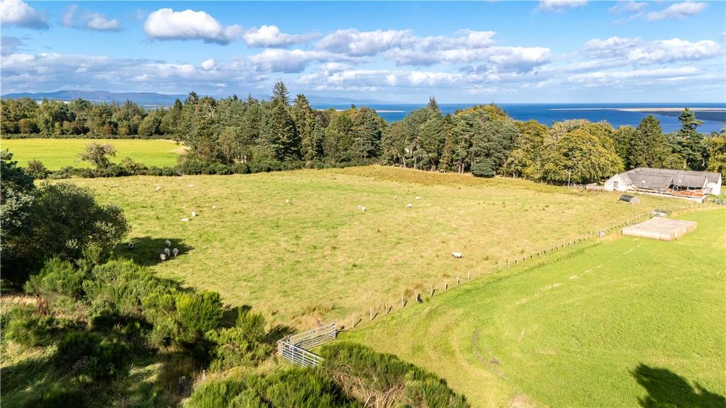 Land At Ardlarach Farm - Whole, Tain, Highland, IV19 - View 4