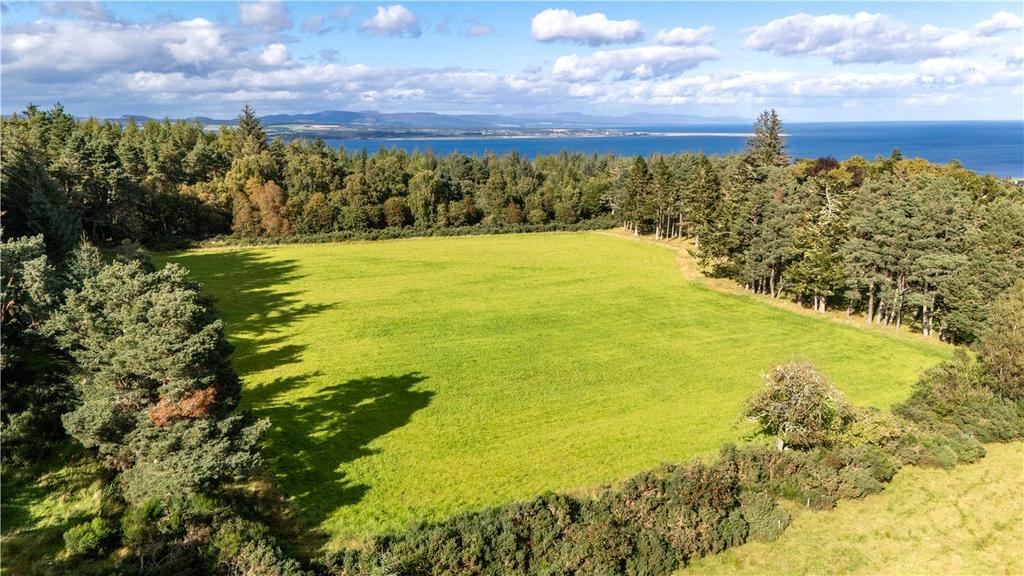 Land At Ardlarach Farm - Whole, Tain, Highland, IV19 - View 5
