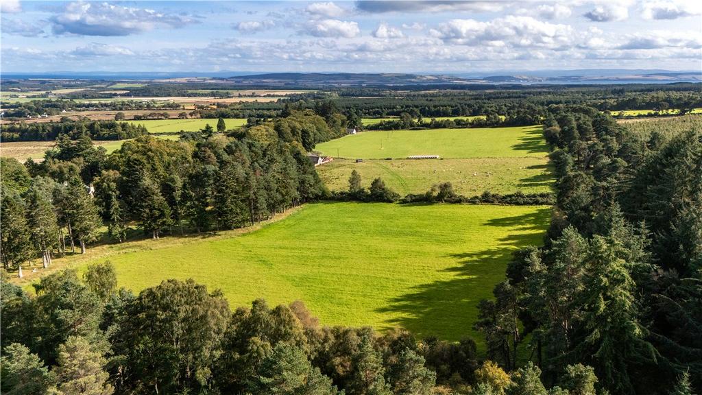 Land At Ardlarach Farm - Whole, Tain, Highland, IV19 - More