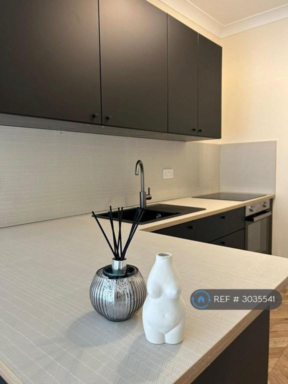 Apartment in Uddingston, South Lanarkshire - View 5