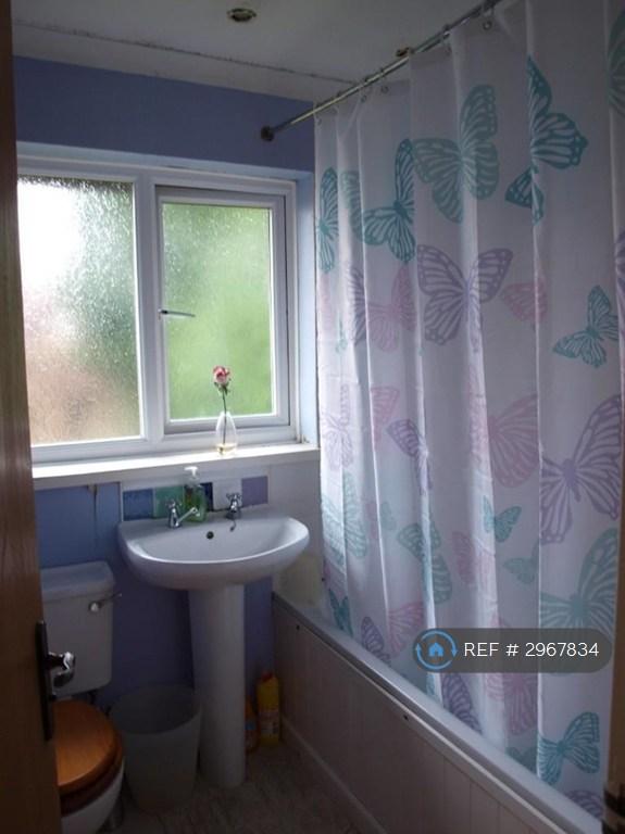 House in Nottingham - More