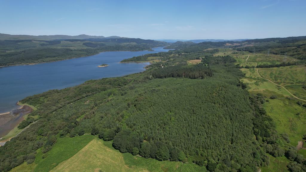 Kennacraig Wood, Near Tarbert, Argyll PA29
