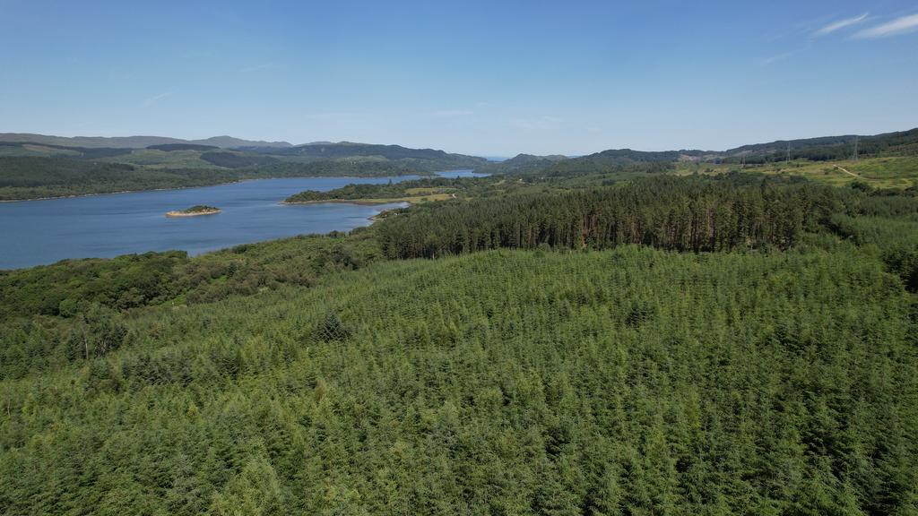 Kennacraig Wood, Near Tarbert, Argyll PA29 - View 3