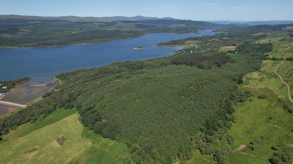 Kennacraig Wood, Near Tarbert, Argyll PA29 - View 4