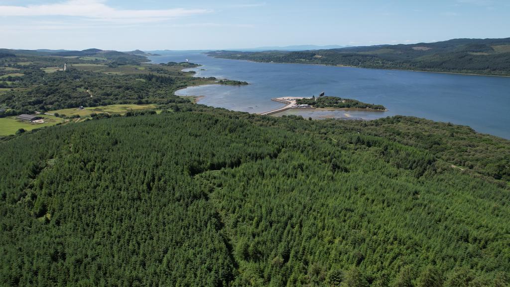 Kennacraig Wood, Near Tarbert, Argyll PA29 - More