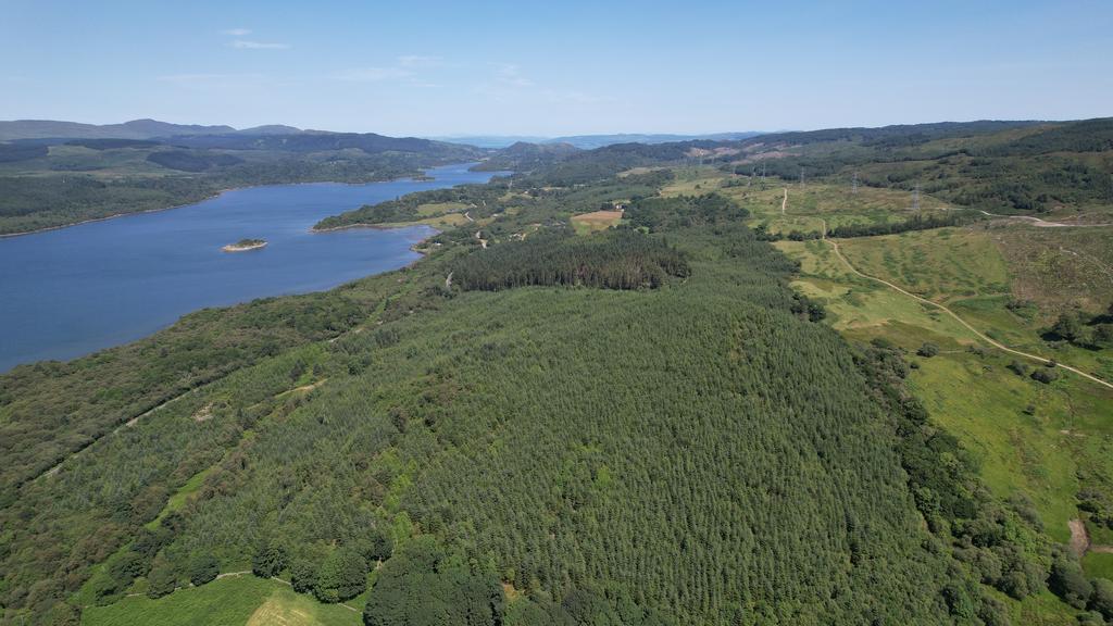 Lot 1 - Kennacraig Wood, Near Tarbert, Argyll PA29 - View 3