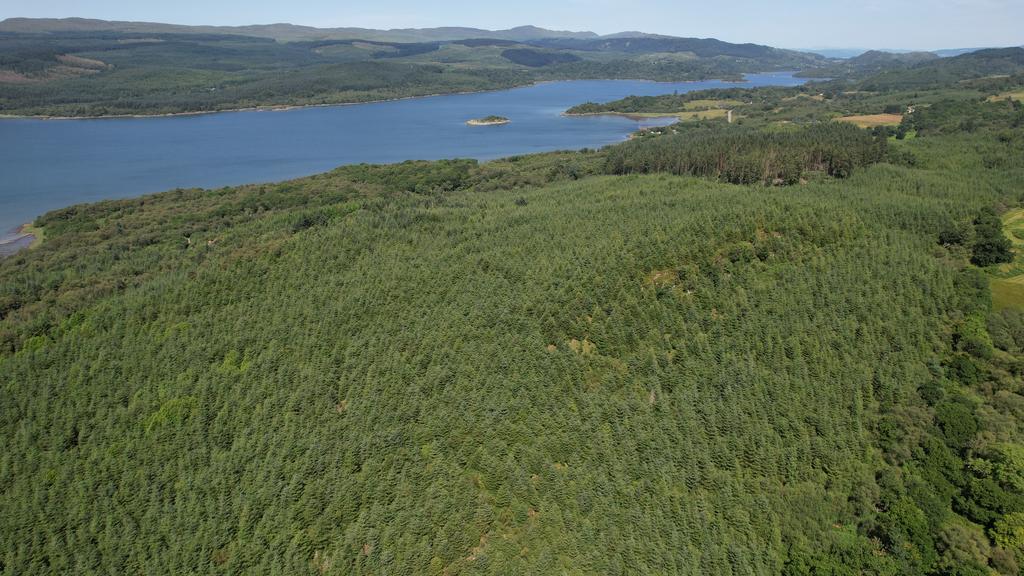 Lot 1 - Kennacraig Wood, Near Tarbert, Argyll PA29 - More