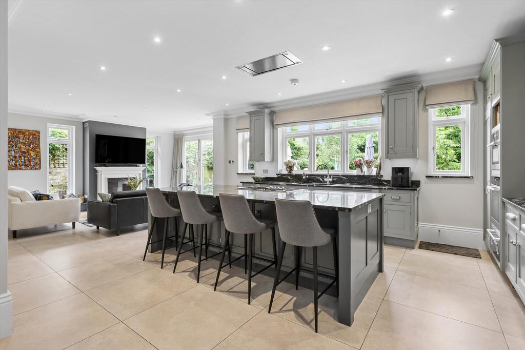 House in Twickenham - View 2
