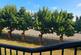 Exceptional 2 bed apartment in Quebec Quay photo 2