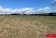 Liskeard photo 4