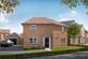 ROUSSIN at Lancaster Grove Azalea Lane, Witham St Hughs, Lincoln LN6