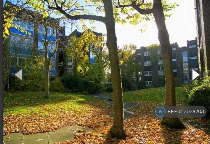 Apartment in Strawberry Hill - More