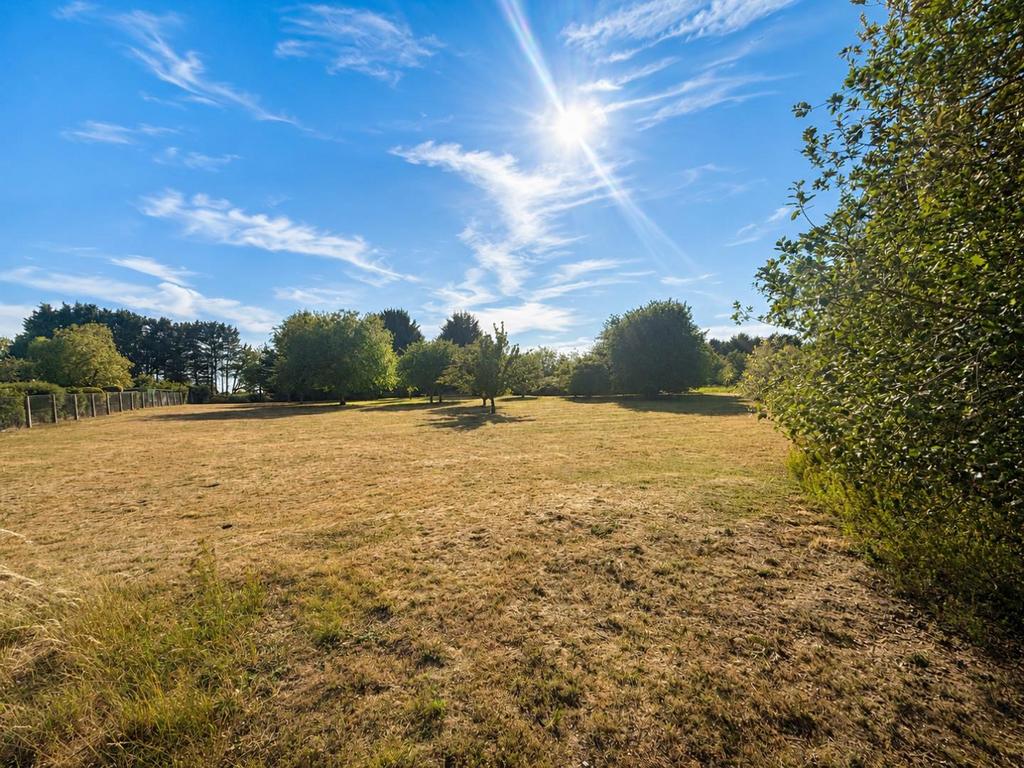 Wilde st, Mildenhall IP28 - View 4
