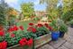 Cunliffe Road, Epsom KT19 photo 5