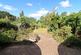 Pickhurst Park, Bromley, BR2 photo 3