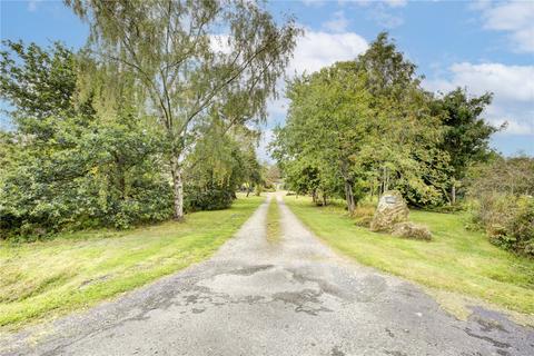 Plot for sale, Longhorsley, Morpeth, Northumberland, NE65