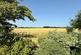 Boston Spa ~ Moor Side, LS23 photo 2