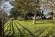 Coombe Lane, Canterbury CT3 photo 3