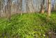 (About Six acres), Broomfield, Maidstone, Kent ME17
