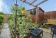 Ryefield Avenue, ILKESTON DE7 photo 3