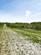 Sewell, Dunstable, LU6 photo 3