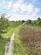 Sewell, Dunstable, LU6 photo 4