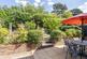Downsview Gardens photo 4